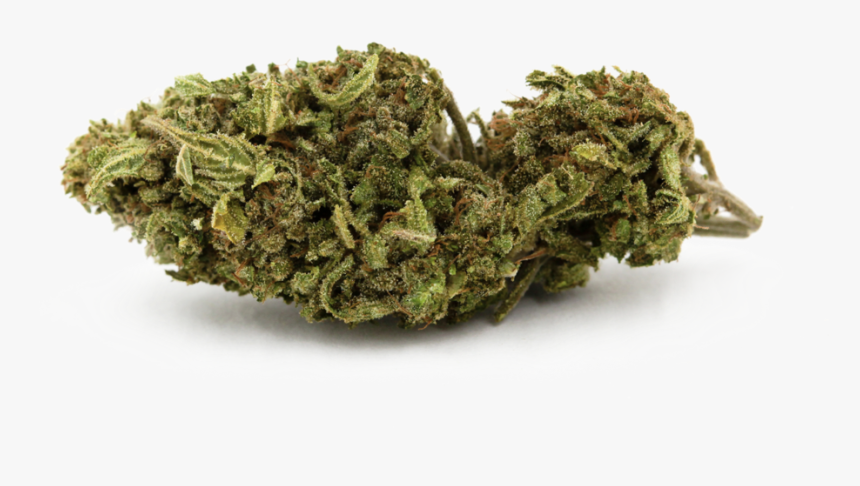 Blue Cheese Single - Non-vascular Land Plant, HD Png Download