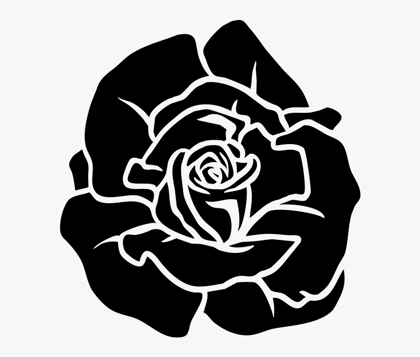 White,black And White,monochrome Roses,herbaceous Plant,style,rose - Garden Roses, HD Png Download