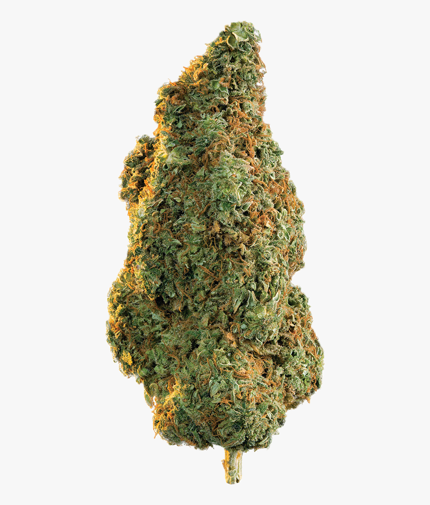Weed Bud Png Transparent Png Transparent Png Image Pngitem