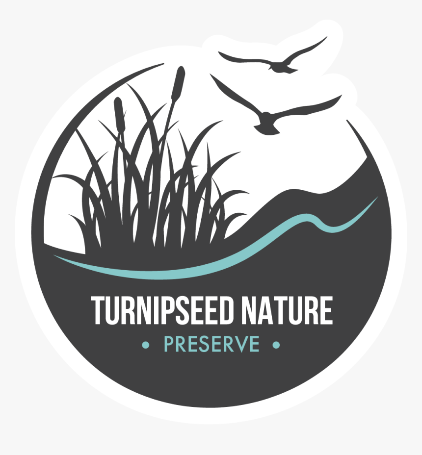 Free Grass Cartoon Png, Transparent Png