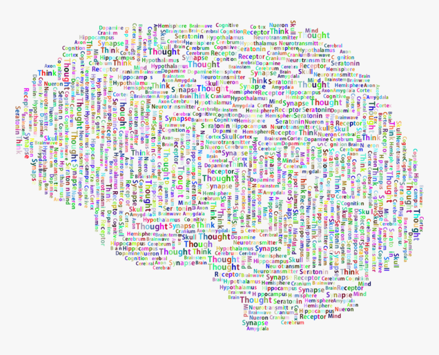 Symmetry,organ,area - Brain Waves Transparent Background, HD Png Download