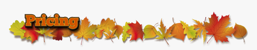 Maple Leaf, HD Png Download