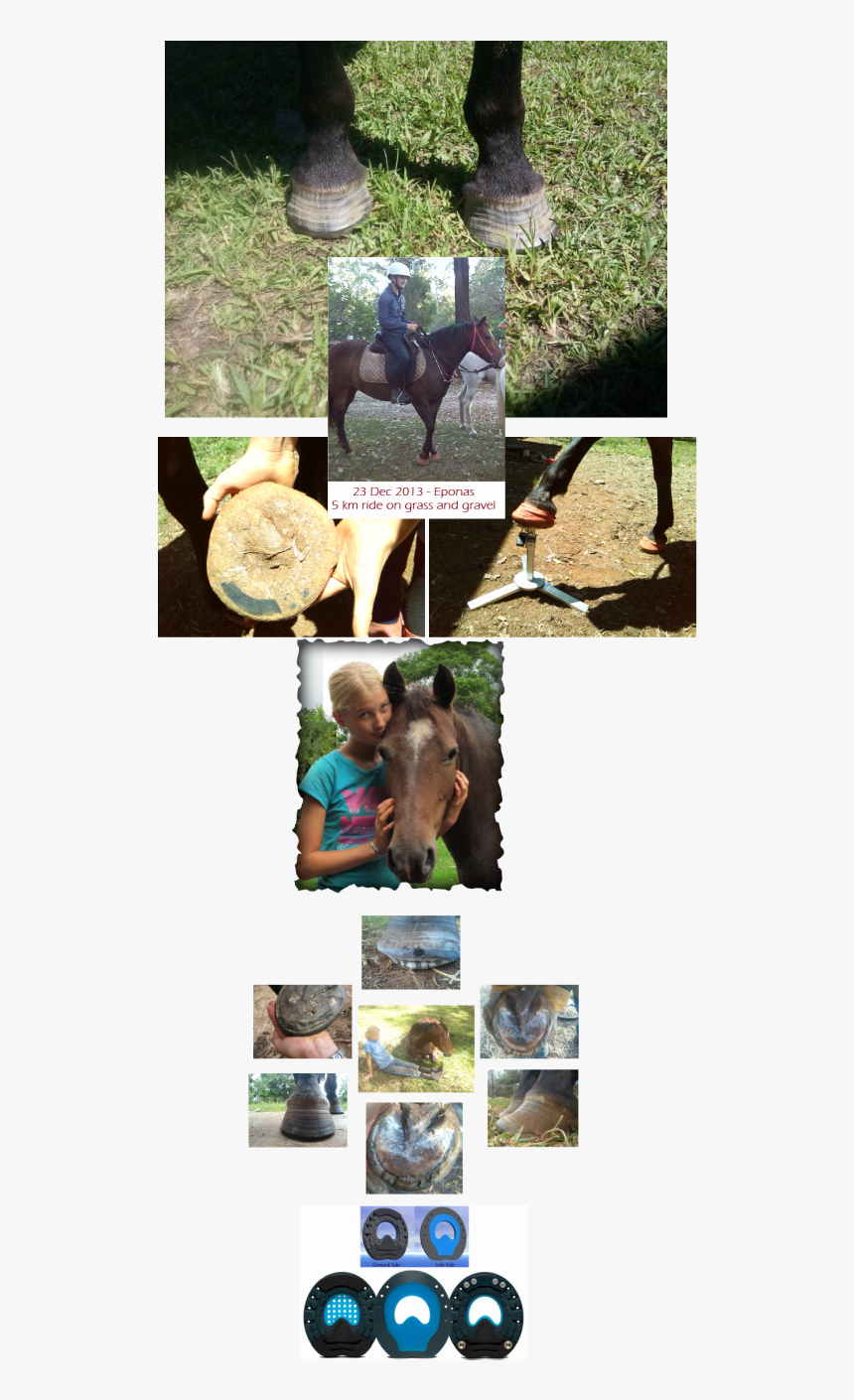 Picture - Collage, HD Png Download