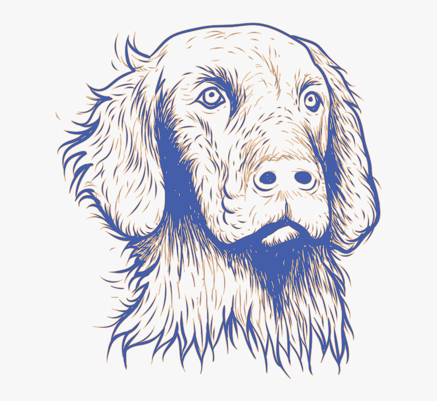 Cocker Spaniel, HD Png Download