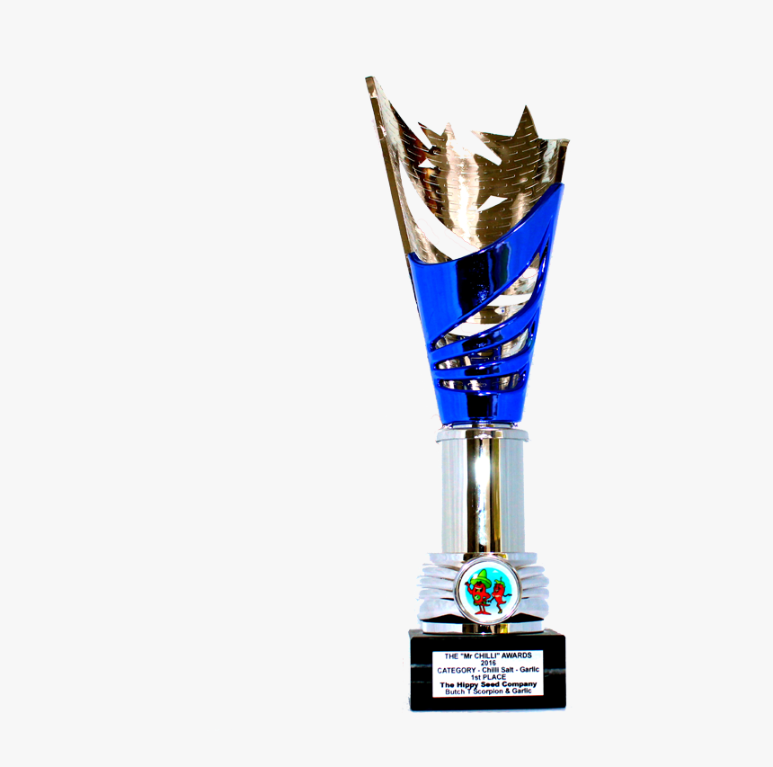 Transparent 1st Place Trophy Png - Trophy, Png Download