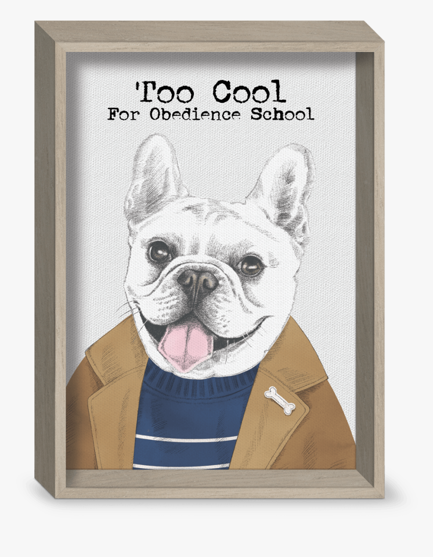 French Bulldog, HD Png Download