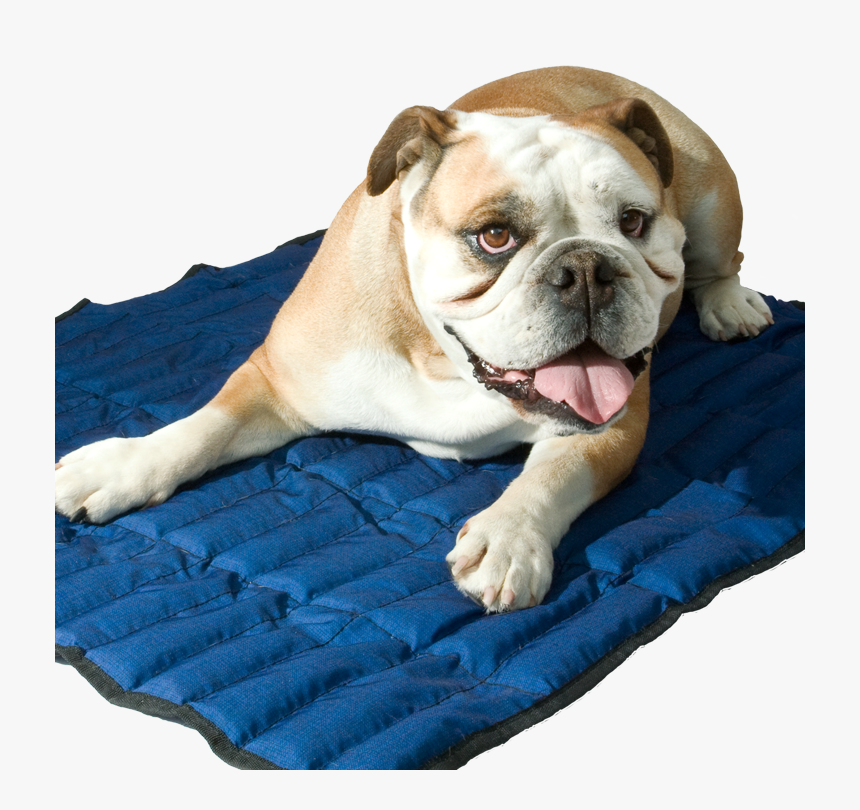 Transparent Cool Dog Png - Aqua Coolkeeper Mat, Png Download