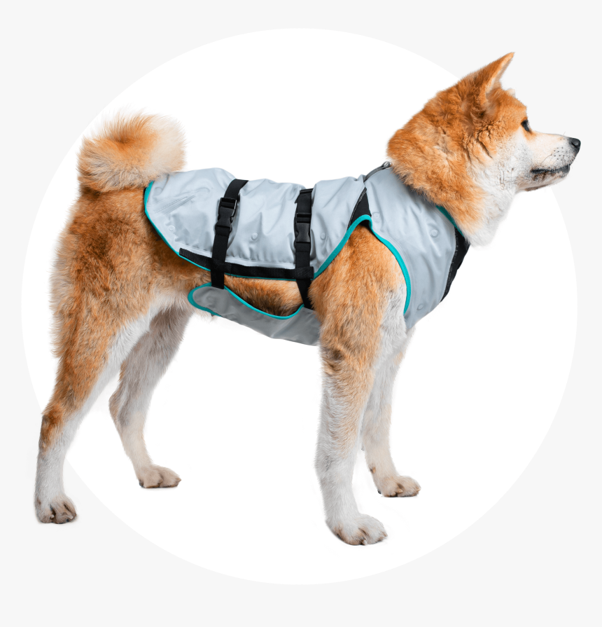 Dry Cooling Vest From Suitical, HD Png Download