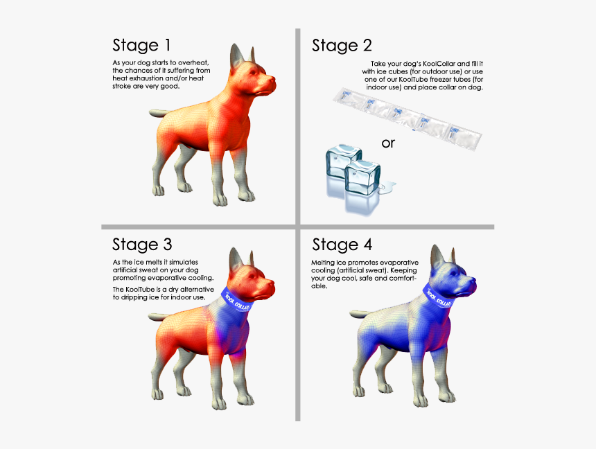 Kool Collar, HD Png Download