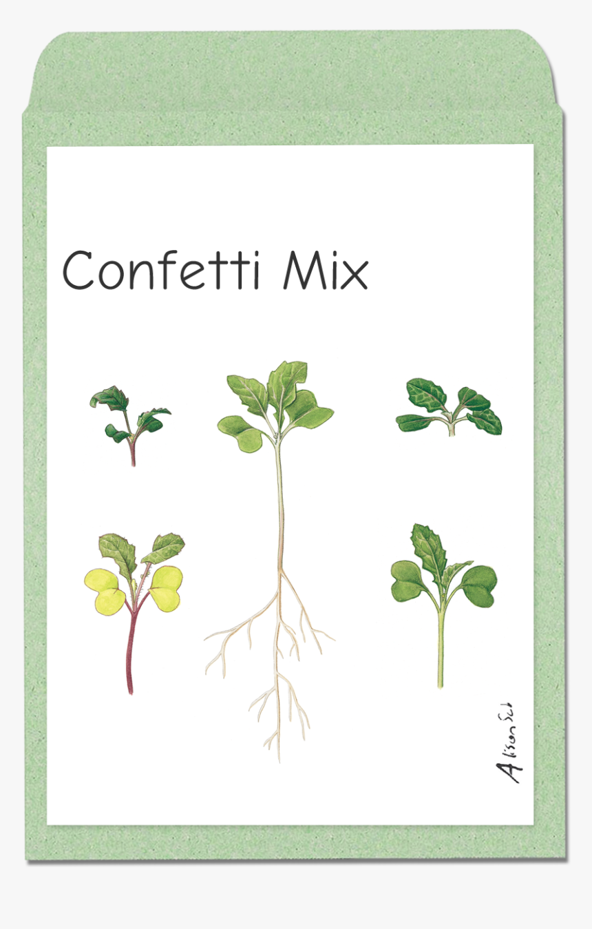 Herbal, HD Png Download