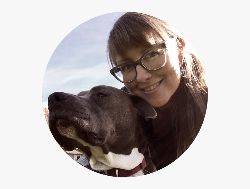 Photo-message - Companion Dog, HD Png Download