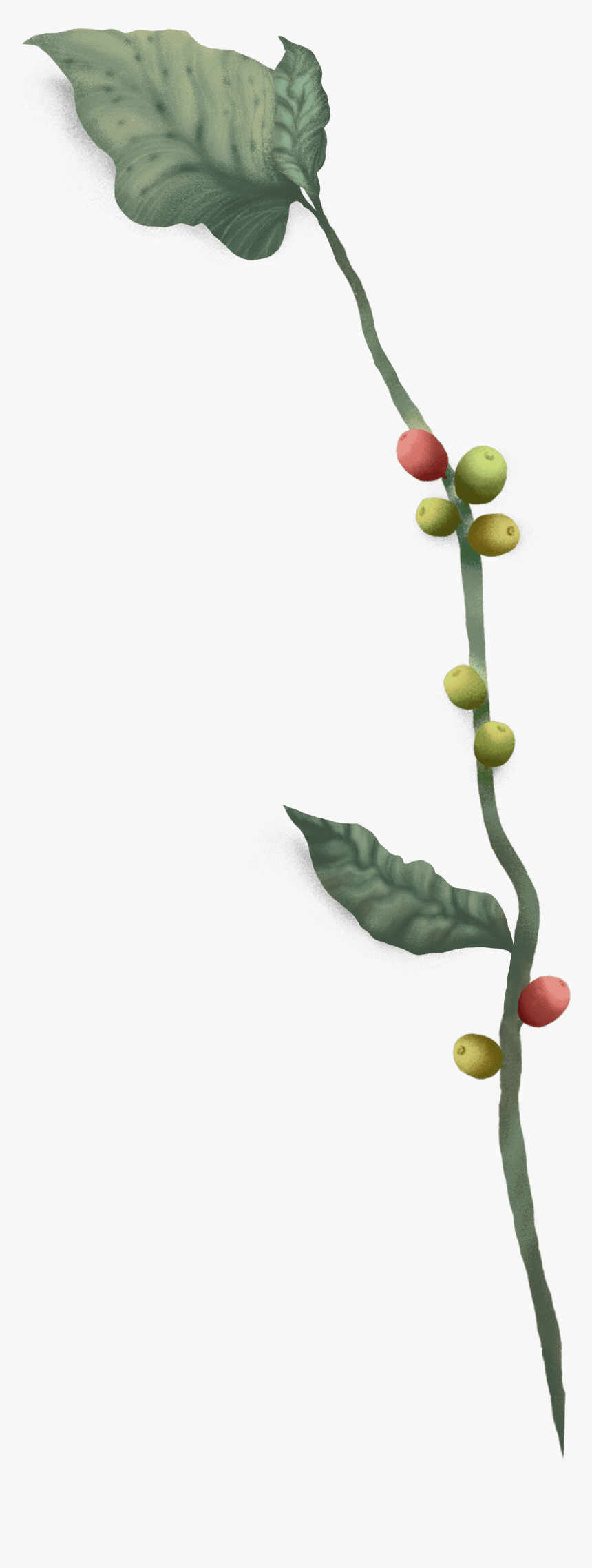 Twig, HD Png Download
