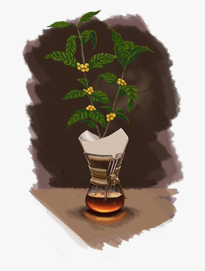 Houseplant, HD Png Download