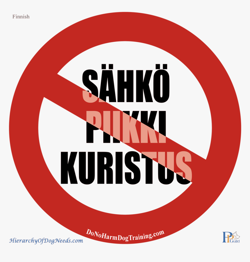 Queens College Student Association, HD Png Download