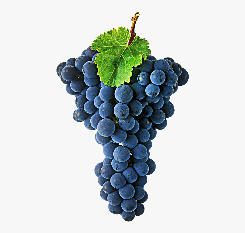 Grape Transparent Wine - Cabernet Sauvignon Png, Png Download