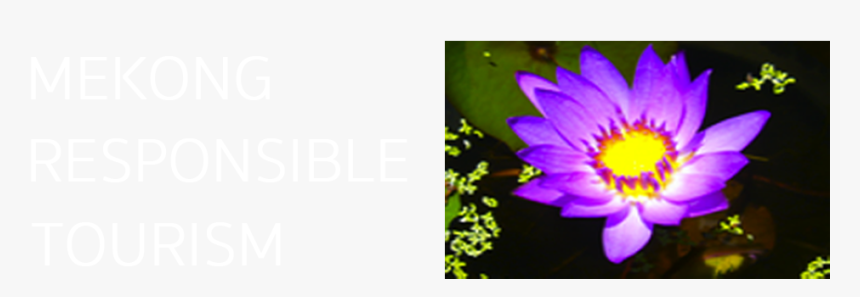 Responsible Tourism Guide To The Mekong - Jinghong China Medicinal Plants, HD Png Download