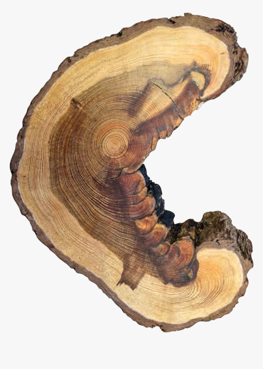 Wood, HD Png Download