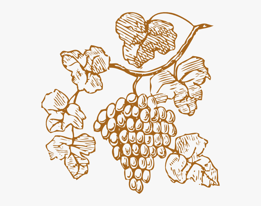 Transparent Grapes Clipart Png - Grapes Clipart, Png Download