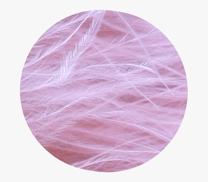 #cute #circle #pink - Cute Circle Background, HD Png Download