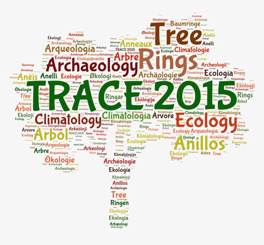 Png Image - Poster, Transparent Png