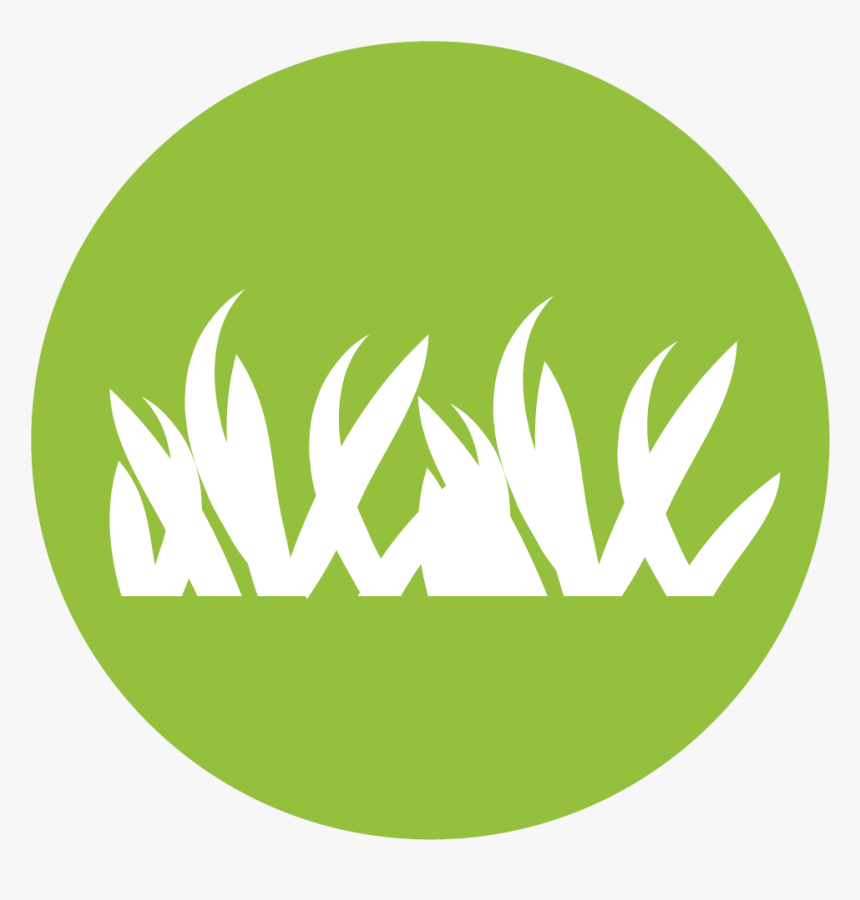 Circle, HD Png Download