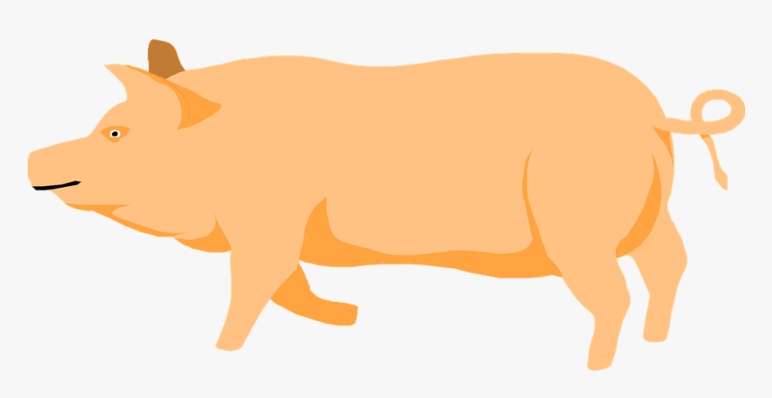 Barn Farm Pig - Pig Walking Clipart, HD Png Download