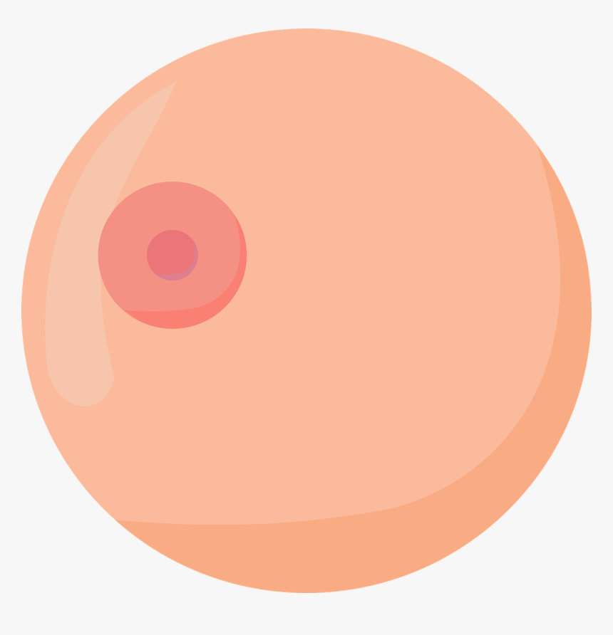 Boobs Boob Krūtys - Boob Vector, HD Png Download