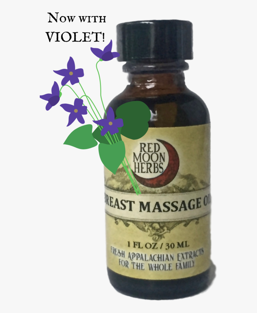 Extract De Vitex Agnus Castus, HD Png Download