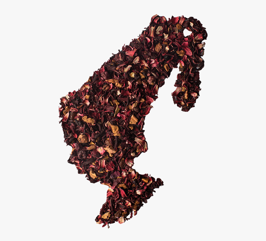 Red Berry Temptation - Insect, HD Png Download