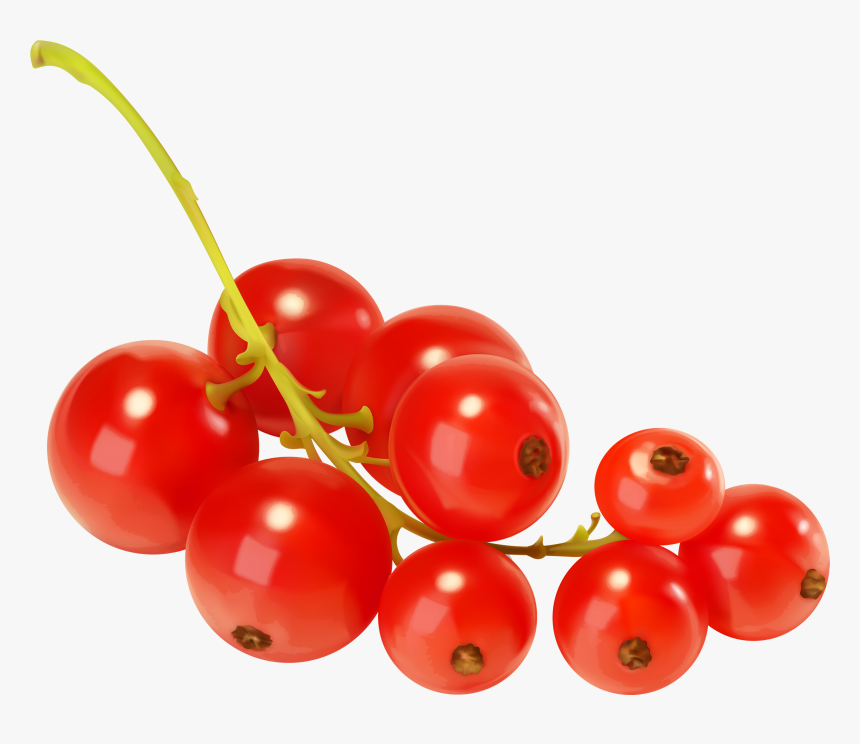 Red Currants Png Clipart, Transparent Png