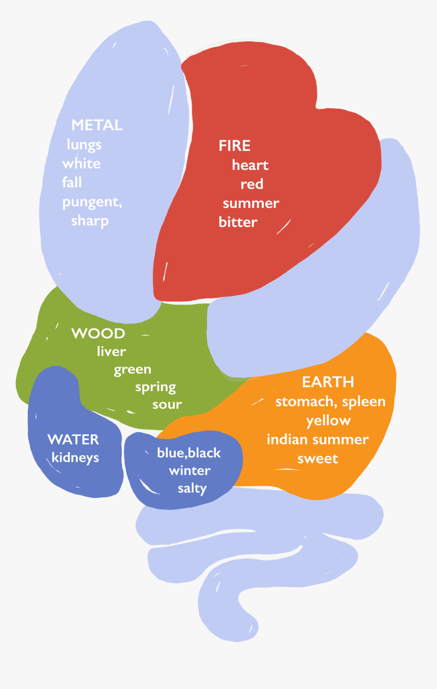 Chinese Medicine 5 Elements Food, HD Png Download