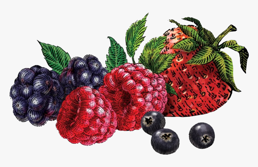 Berries Png - Siggi's Nonfat Acai & Mixed Berries Yogurt, Transparent Png