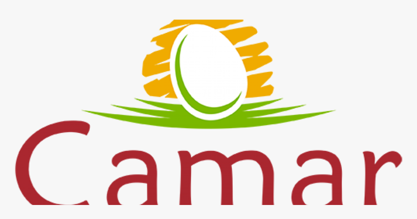 Intermediación Con Huevos Camar - Huevos, HD Png Download