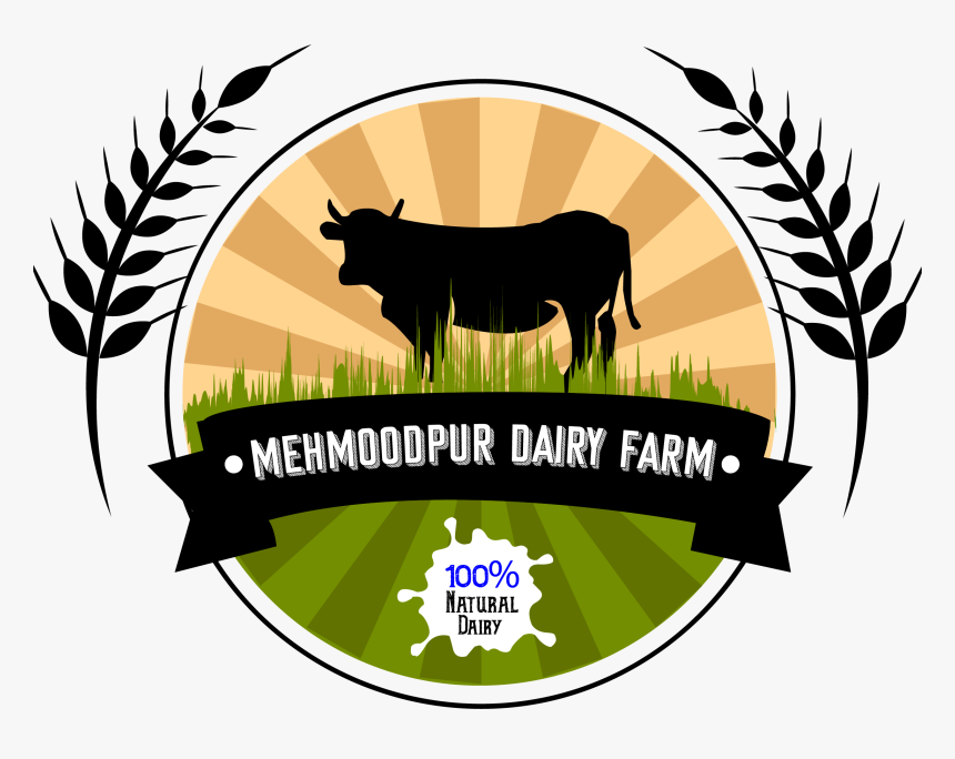 Final1 - Monkey Bread Tree Film Awards, HD Png Download