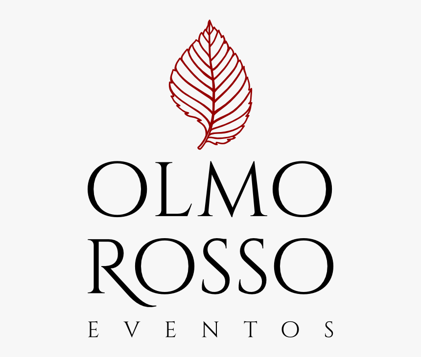 Fidelis Capital Group Logo, HD Png Download