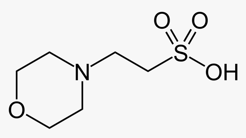 4 Hydrazino Benzenesulfonamide Hydrochloride, HD Png Download