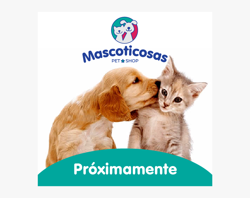 Proximamente - Dogs Loving Each Other, HD Png Download