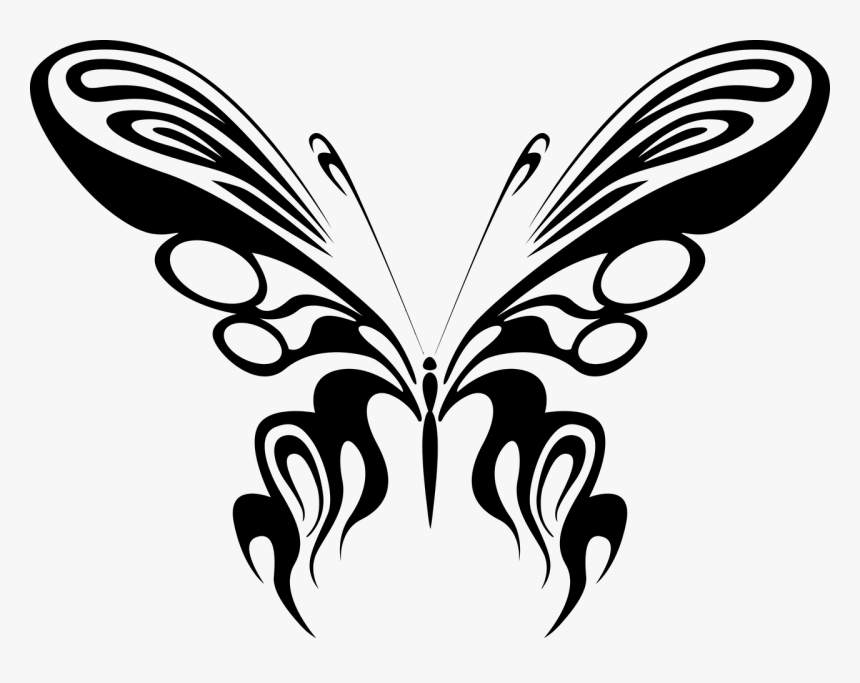 Black White Butterfly Drawings, HD Png Download
