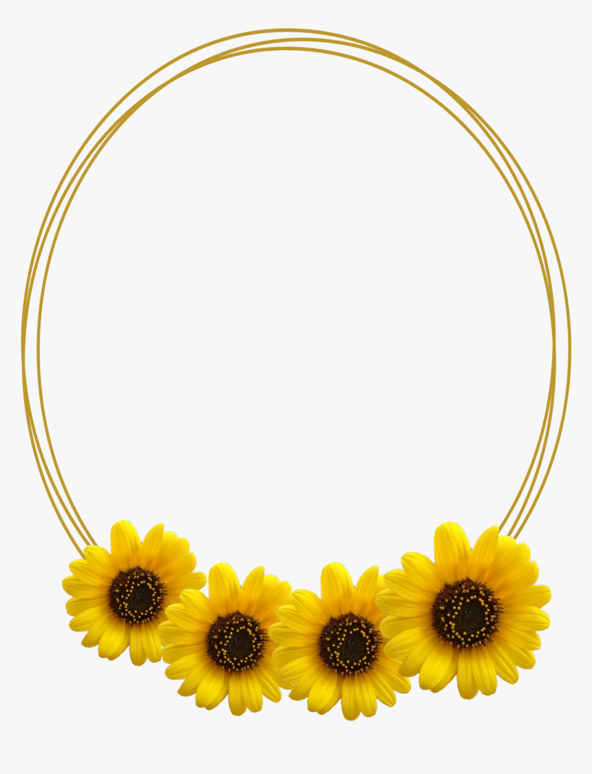 #frame #frameremix #flower #sunflower - Sunflower, HD Png Download