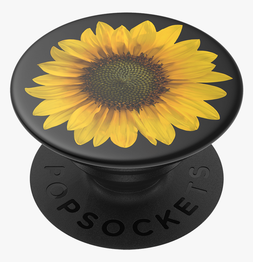 Sunflower Frame Png -seed Money, Popsockets - Popsockets Lightspeed Chrome, Transparent Png