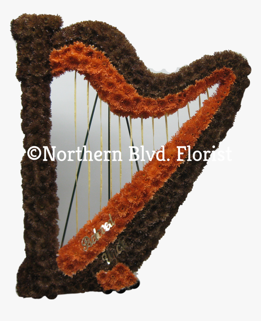Harp - Sports Equipment, HD Png Download