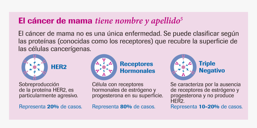 Samariter, HD Png Download