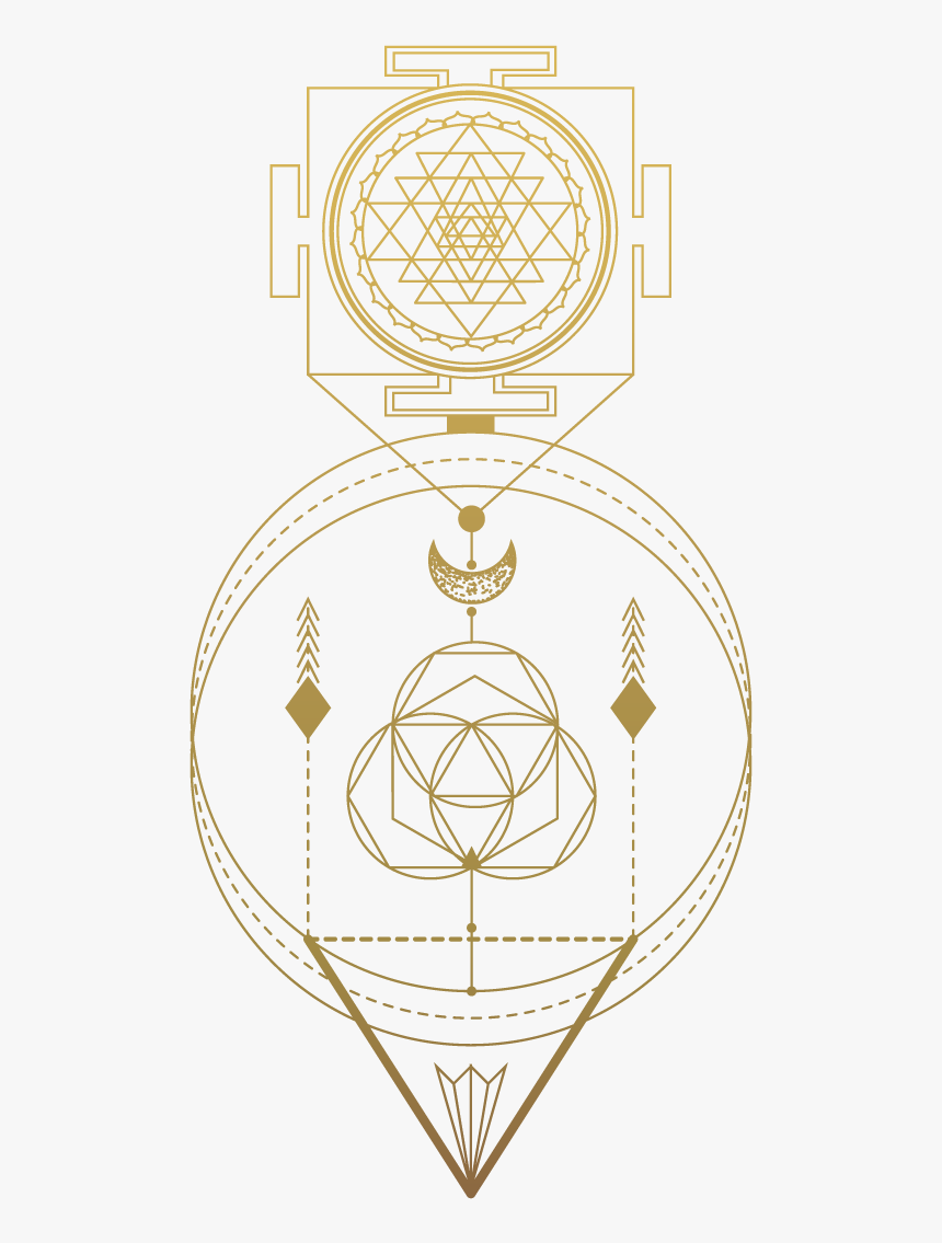 14-gold - Circle, HD Png Download