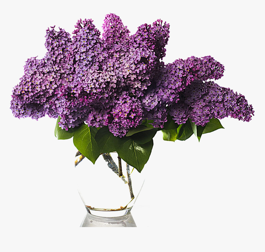 Clip Art Stock Photography Vase Of - Lilac Bouquet Png, Transparent Png