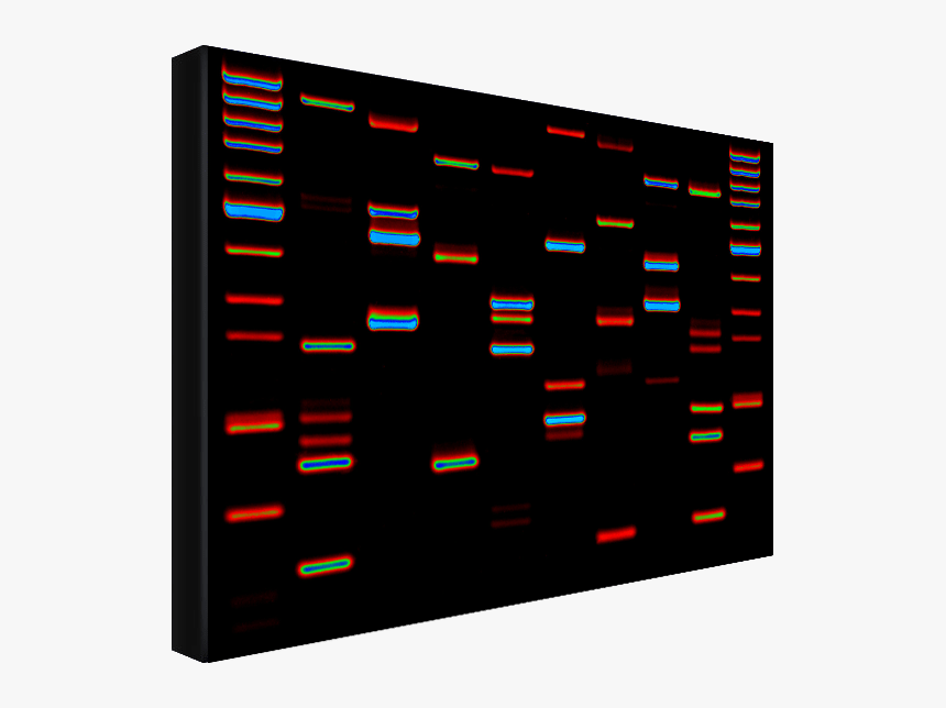Display Device, HD Png Download