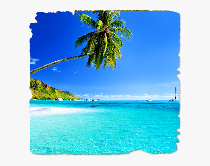 Playa De Australia Png, Transparent Png