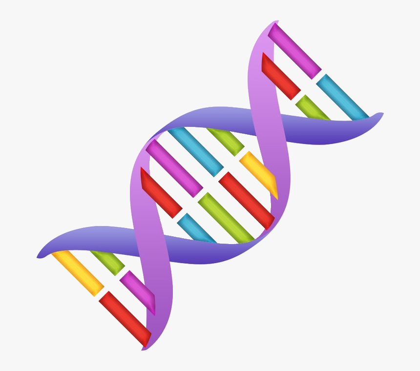 Dna Clipart Nucleic Acid , Png Download - Dna Clipart, Transparent Png