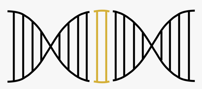 Horizontal Dna, HD Png Download