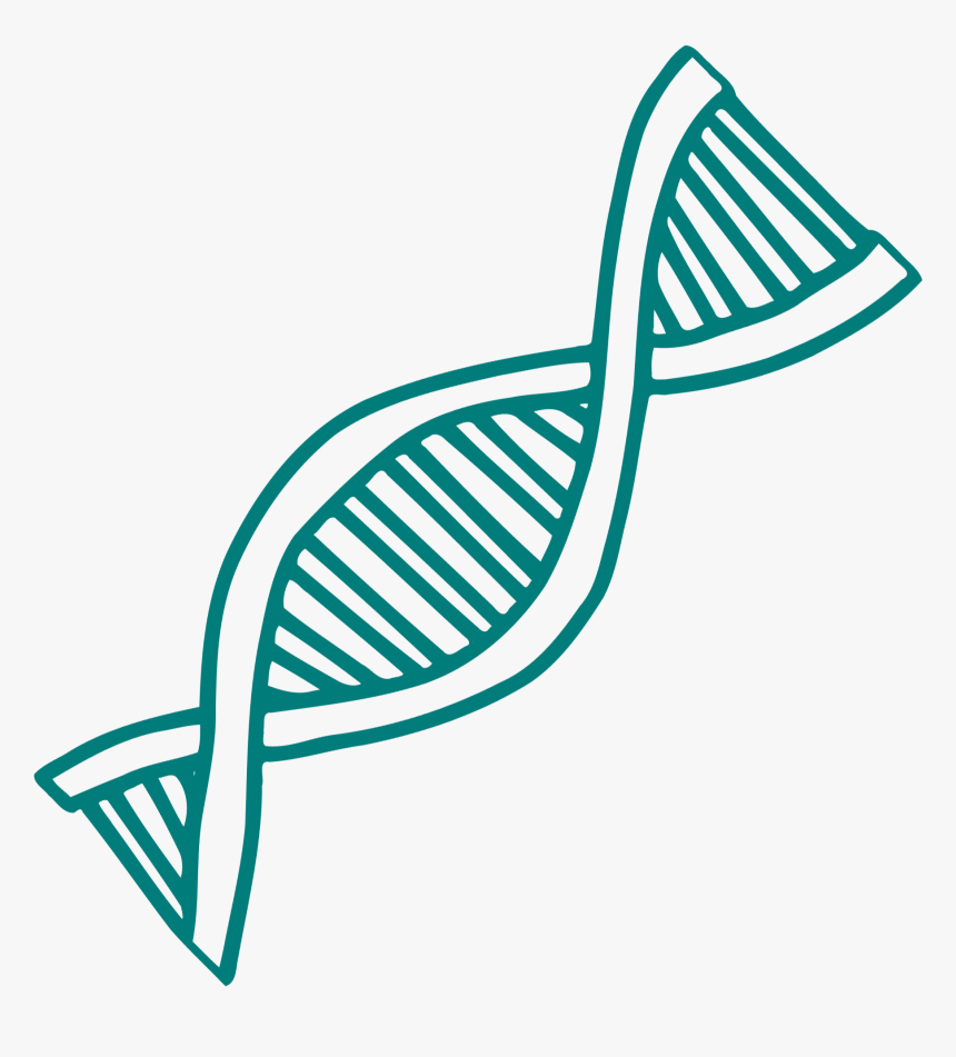 Dna Red And Blue , Transparent Cartoons - Dna Red And Blue, HD Png Download