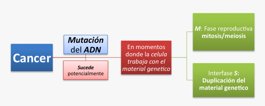 Conclusion Sobre El Cancer, HD Png Download
